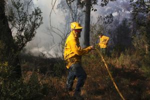 El foc que està cremant una zona muntanyosa prop del municipi de Santa Cristina d'Aro