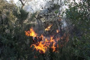 El foc que està cremant una zona muntanyosa prop del municipi de Santa Cristina d'Aro