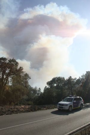 El foc de Santa Cristina d'Aro va cremar ràpidament més de 80 hectàrees.