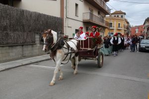 Una comitiva encapçalada pel Cornut va a buscar l'arbre del Maig per dur-lo a la plaça Major de Cornellà del Terri.