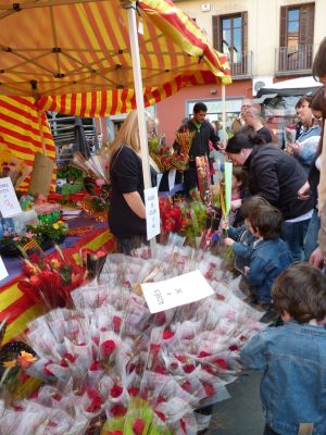 Una parada de roses al centre d'Olot