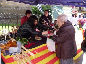 Una parada de roses al centre d'Olot