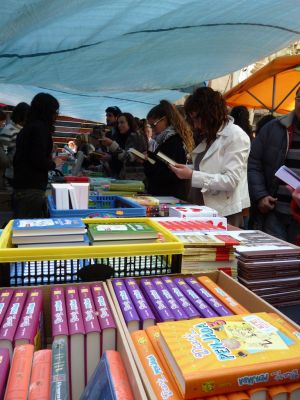 Una parada de llibres al centre d'Olot