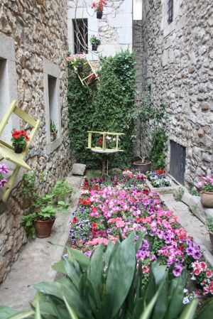 Un patí amb ornamentacions florals
