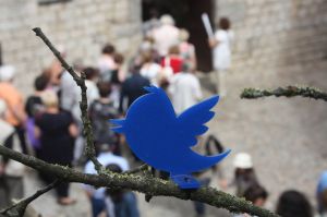 El hashtag per piular sobre la mostra és #tempsdeflors