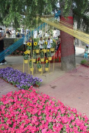 Una mostra floral situada prop dels banys àrabs