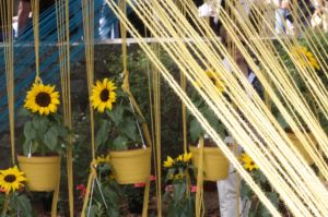 Una mostra floral situada prop dels banys àrabs