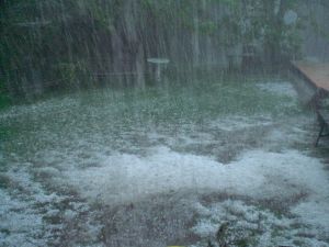 Pedregada a Les Preses (Garrotxa) aquest dilluns a primera hora de la tarda amb pedres de fins a 3 cm