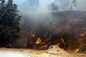 El foc,a tocar la Jonquera