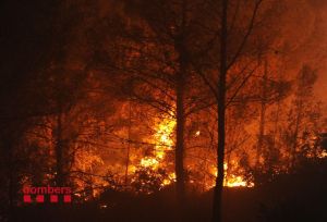 El foc ha avançat amb virulència al llarg de la nit