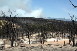 Vista panoràmica d'un càmping de Capmany afectat per l'incendi de l'Alt Empordà