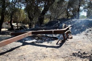 Restes de l'incendi de l'Alt Empordà en un càmping de Capmany