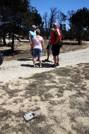 Alguns usuaris d'un càmping visiten la zona afectada per l'incendi de l'Alt Empordà