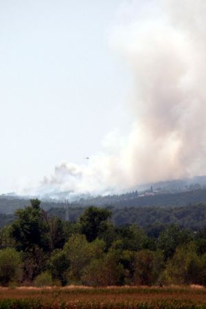 Imatge de l'incendi