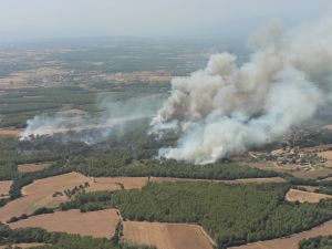 Imatge del patrullatge fet pels Bombers de la zona cremada