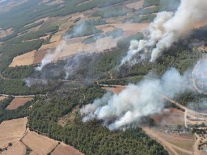 Imatge del patrullatge fet pels Bombers de la zona cremada