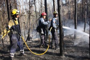 Els Bombers remullant part de la zona afectada per l'incendi de Vilopriu, que ha començat en un dels marges de la carretera