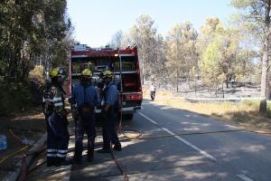 El foc de Vilopriu ha calcinat unes deu hectàrees de massa forestal i, a hores d'ara, els Bombers ja l'han donat per estabilitzat