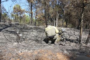 Els Agents Rurals investigant les causes de l'incendi de Vilopriu, que ha començat en un dels marges de la carretera GI-631