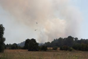 La fumarada que ha originat el foc de Vilopriu era visible des de diversos quilòmetres de distància