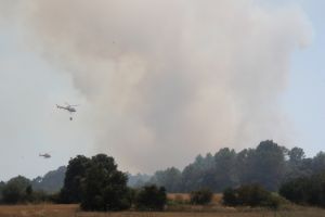 La fumarada que ha originat el foc de Vilopriu era visible des de diversos quilòmetres de distància