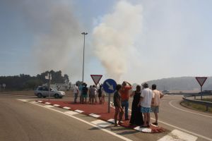 La fumarada que ha originat el foc de Vilopriu era visible des de diversos quilòmetres de distància