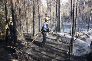 Els Bombers remullant part de la zona afectada per l'incendi de Vilopriu, que ha començat en un dels marges de la carretera