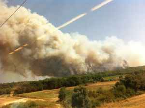 Un usuari del tren ha fotografiat l'incendi al seu pas per Flaçà