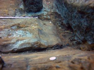 Detalls de la proa del vaixell del Cap de Vol, que es troba enfonsat al Cap de Creus, i que els arqueòlegs han excavat aquest any
