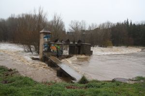 L'intens cabal del riu Ter al seu pas per Sarrià de Ter (Gironès)