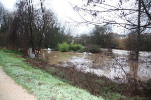 El riu Ter ha inundat alguns horts de la zona de Campdorà al Gironès aquest dimecres