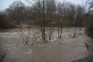 El riu Ter al seu pas per Sarrià de Ter (Gironès) aquest dimecres al migdia