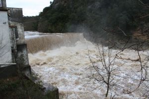 L'intens cabal del riu Fluvià a la resclosa de Martís al seu pas per Esponellà (Pla de l'Estany) aquesta tarda