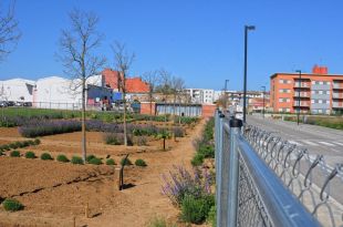  Figueres adjudica els horts urbans del barri de la Marca de l’Ham