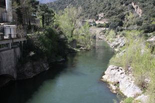 Entitats ecologistes denuncien que la Generalitat falla en la gestió del rius com el Ter, la Muga o el Llobregat
