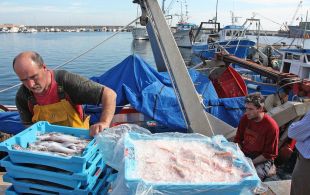 Palamós ofereix cursos de pescador per a garantir el relleu generacional