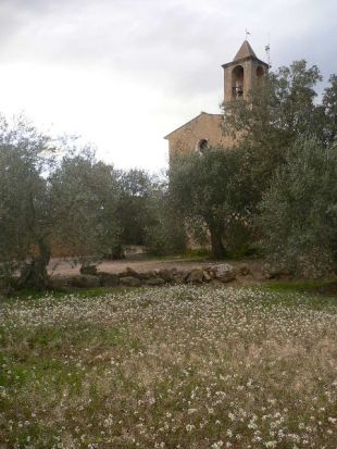 Roben la imatge de la Verge de l'ermita de la Mare de Déu de Vida de Cistella