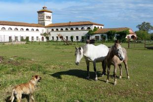 L'empresari que va comprar Torre Mornau no renuncia a la propietat