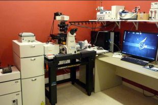 La UdG adquireix un microscopi làser que obtén imatges tridimensionals de cèl·lules