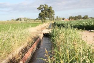 Troben una dona morta dins un canal de reg a Cabanes