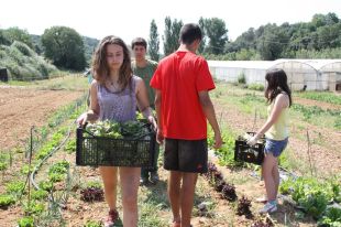 Uns 41.000 joves i infants participaran aquest estiu en més de 1.100 activitats