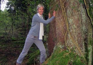 Les Cabanes als arbres de Sant Hilari arriben al País Basc