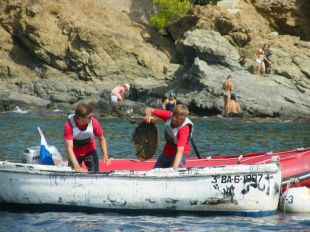 Un electrodomèstic entre els 30kg de brossa retirats de la platja de Llançà
