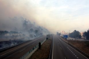 205 auxiliars forestals no poden treballar perquè no tenen la 'granota'