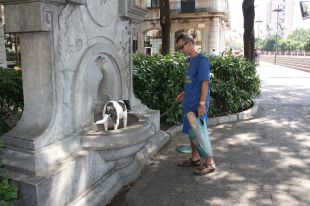Calor moderada amb màximes de fins a 35ºC als llocs més càlids