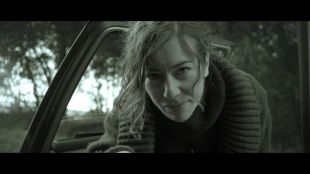 max, festival, cinema