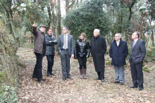 El Govern ha concedit el 25% dels ajuts a propietaris forestals pels desperfectes del vent i la neu de fa un any 
