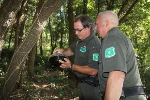 Suspenen la recerca del niu de vespa asiàtica a la Garrotxa