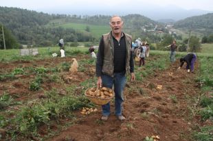 Un pagès aconsegueix comercialitzar la llavor de trumfa de la Vall de Camprodon