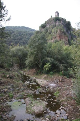 Talen un miler d'arbres exòtics del bosc de ribera al peu de la cinglera de Castellfollit